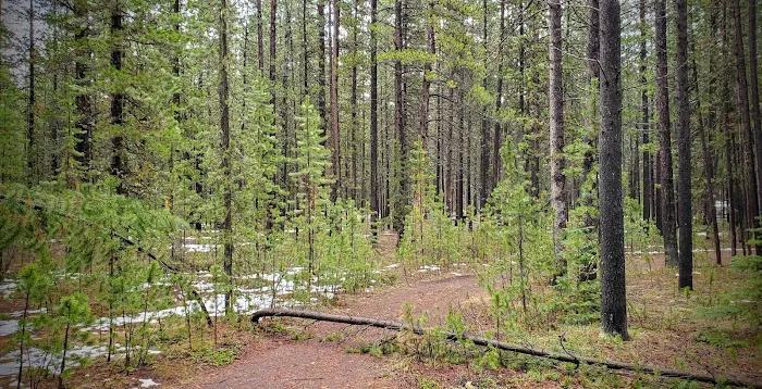 Rainbow Point Campground Picture 6