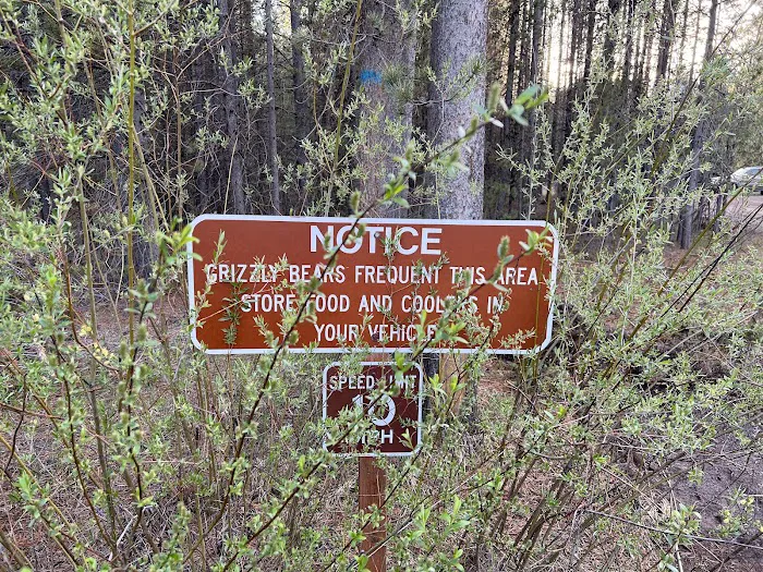 Rainbow Point Campground Picture 9