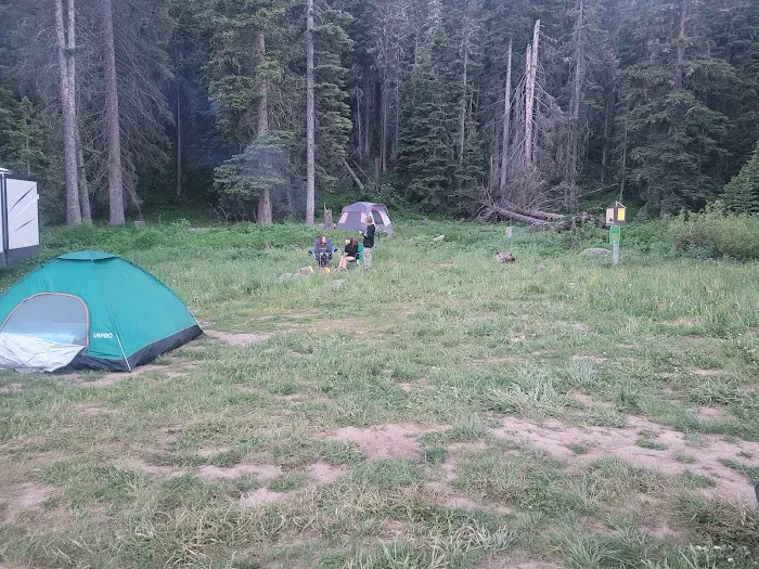 West Fork Denny Creek Picture 1