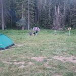 West Fork Denny Creek