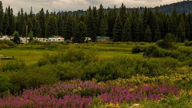 Yellowstone Park / Mountainside KOA Journey Picture 3