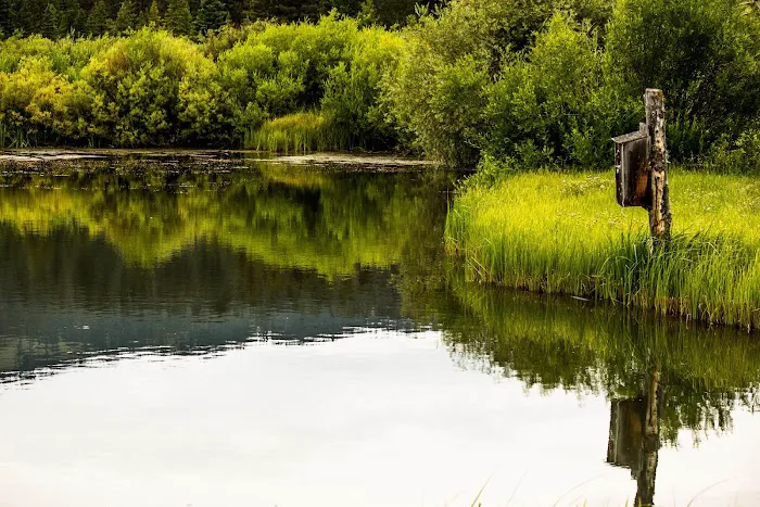 Yellowstone Park / Mountainside KOA Journey Picture 6