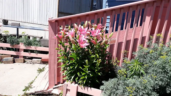 Derby Lane Mobile Home Community Picture 2