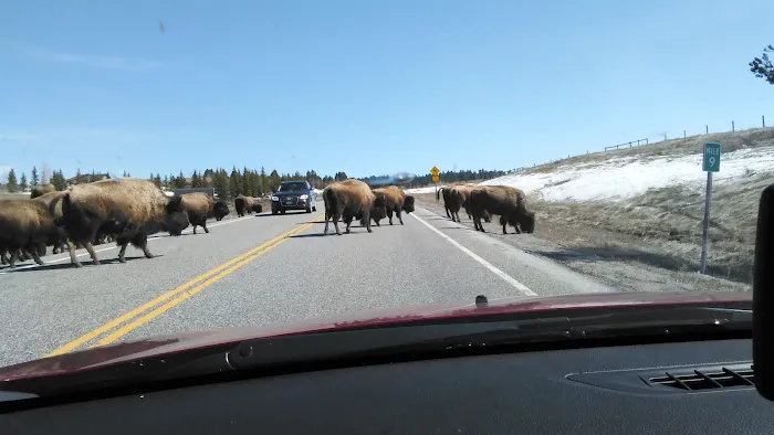 Park 520 Hotel Picture 8