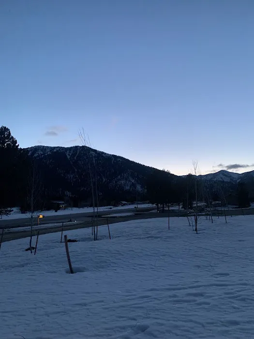 Park 520 Hotel Picture 4