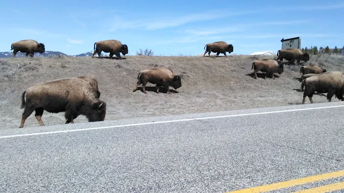 Park 520 Hotel Picture 10