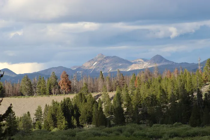 Bakers Hole Campground Picture 4