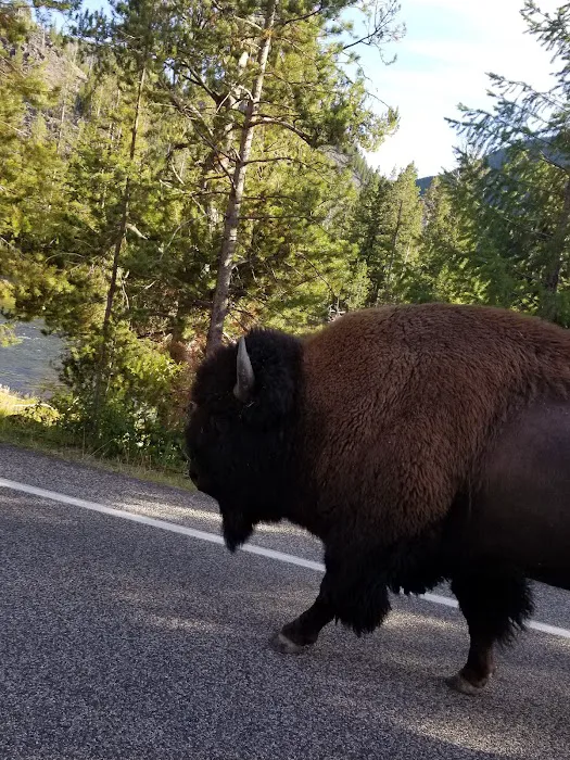 Bakers Hole Campground Picture 2
