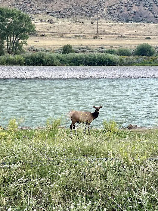 Yellowstone Hotsprings Campground Picture 5