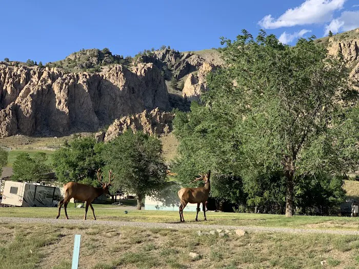 Yellowstone Hotsprings Campground Picture 10