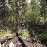 Snowbank Campground ico