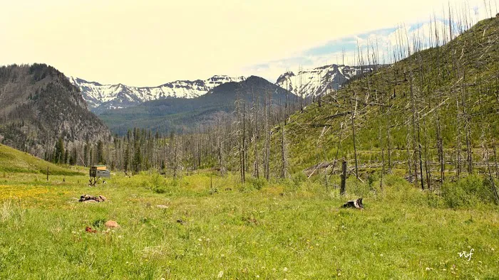 Snowbank Campground Picture 9