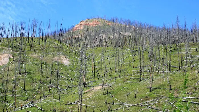 Snowbank Campground Picture 3