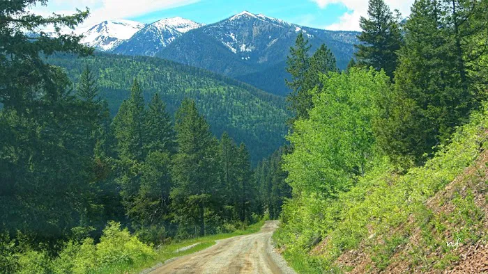 Snowbank Campground Picture 4