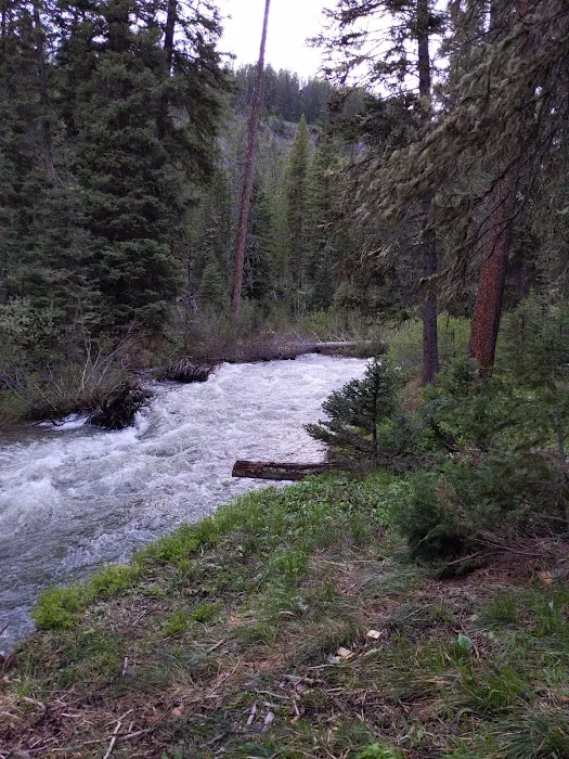 Bear Creek Campground Picture 3