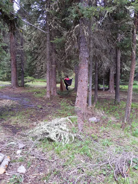 Bear Creek Campground Picture 10