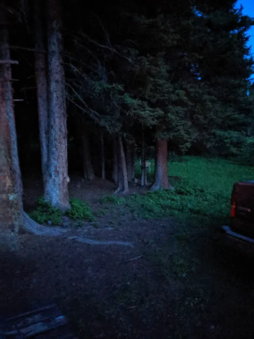 Timber Camp Campground Picture 3