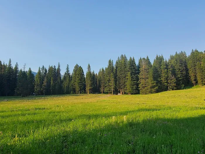 Timber Camp Campground Picture 4