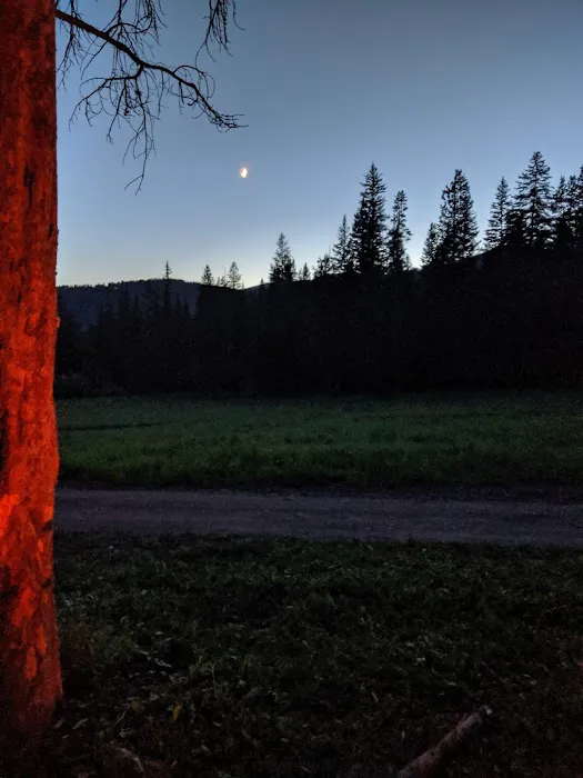 Timber Camp Campground Picture 2