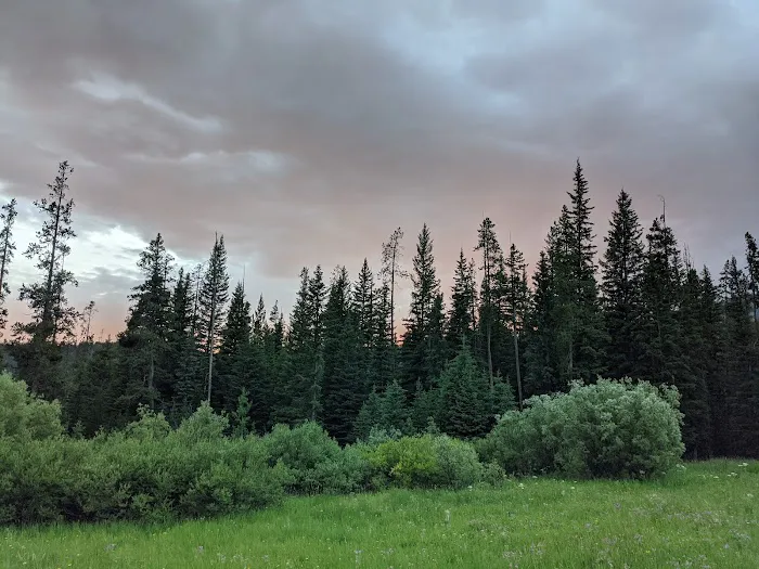 Timber Camp Campground Picture 7