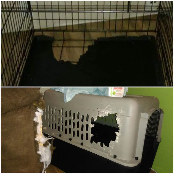 Brandymore Pines MHC Picture 10