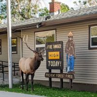 Gardiner District ico