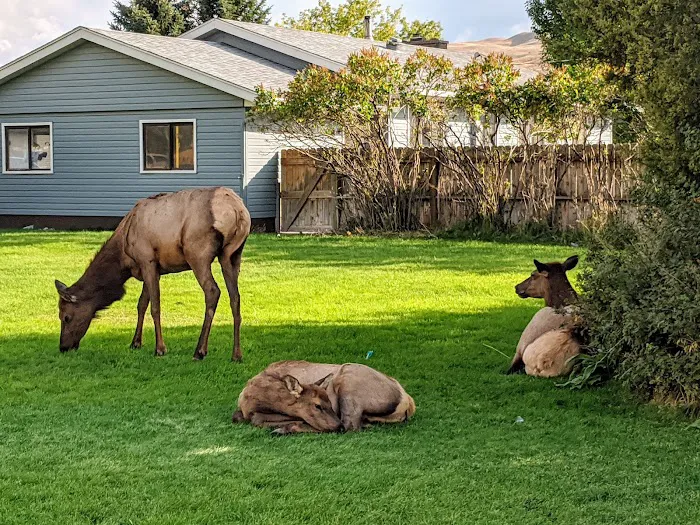 Gardiner District Picture 2