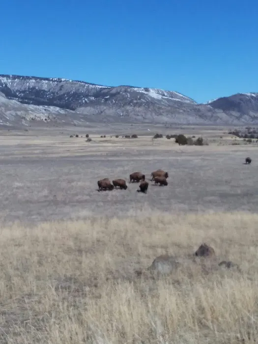 Gardiner District Picture 3