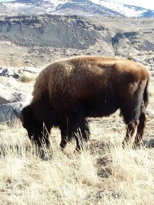 Gardiner District Picture 7