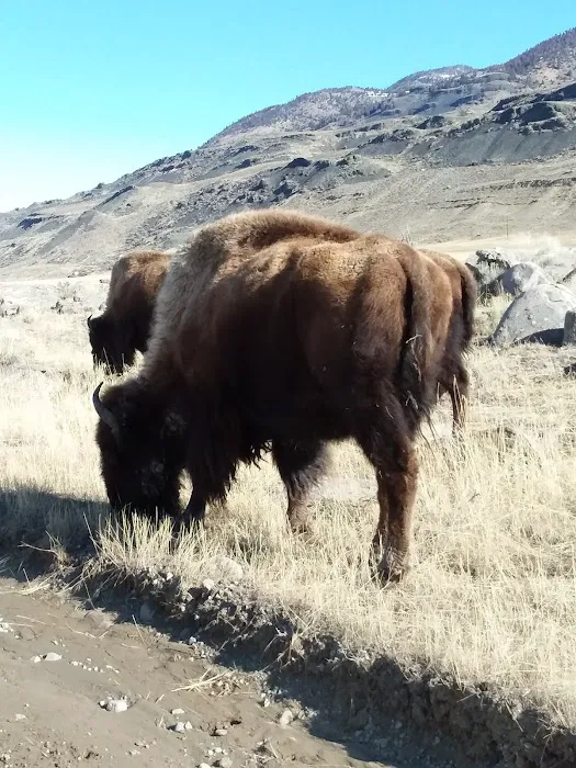 Gardiner District Picture 8