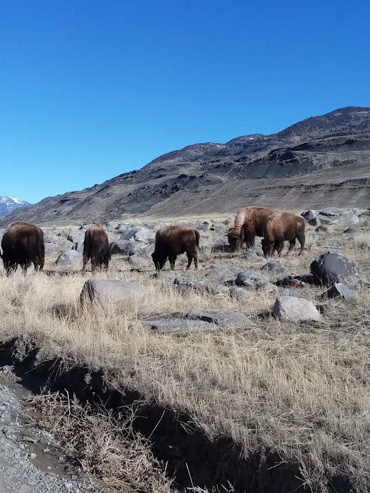 Gardiner District Picture 9