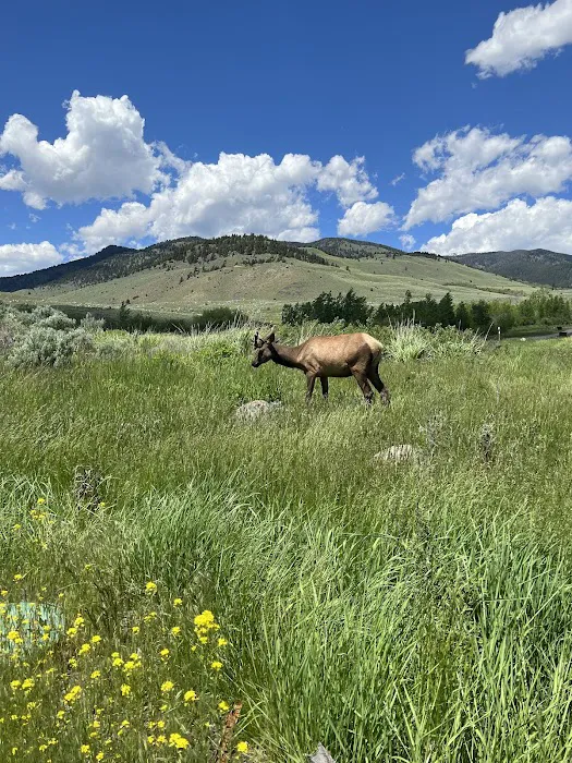 Eagle Creek Campground Picture 2