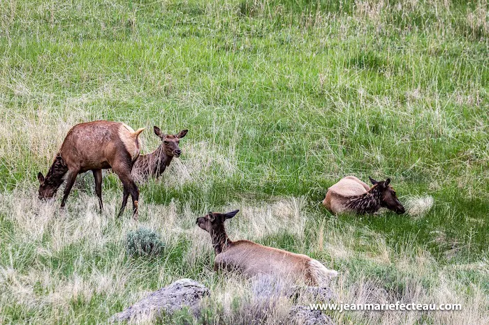 Eagle Creek Campground Picture 9
