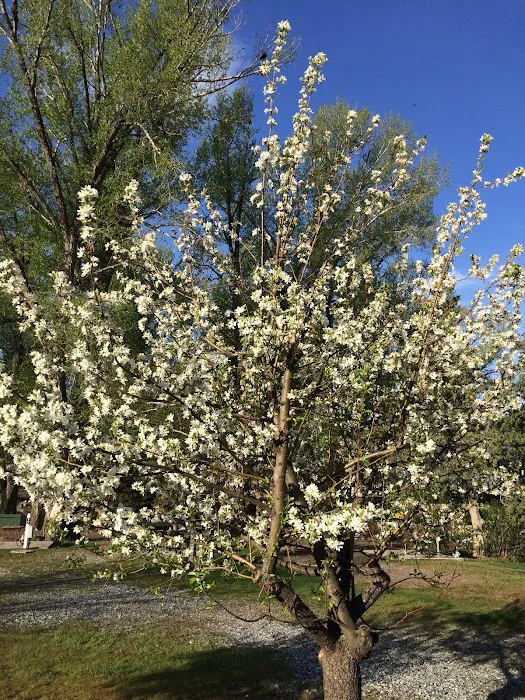 Livingston / Paradise Valley KOA Holiday Picture 6