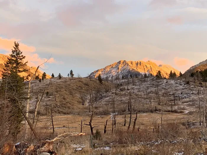 Jammin Jackalope Camping Picture 2