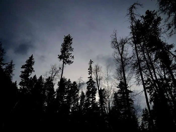 Pine Creek Campground Picture 9