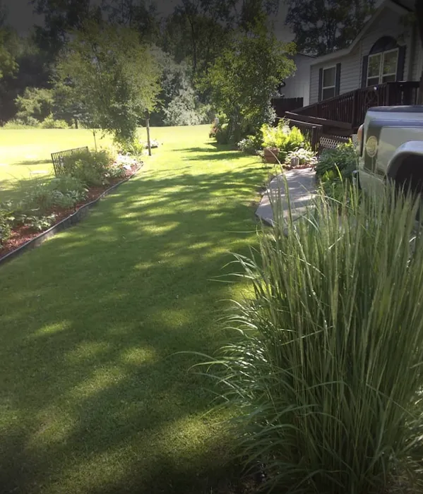 Arlington Manor Picture 5