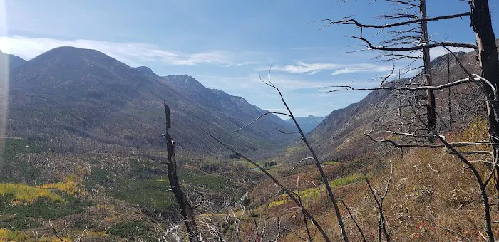 West Boulder Campground Picture 7
