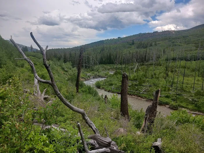 West Boulder Campground Picture 4