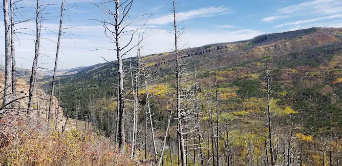 West Boulder Campground Picture 8