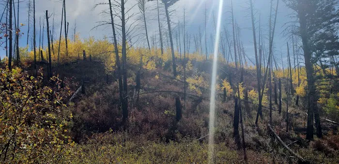 West Boulder Campground Picture 9