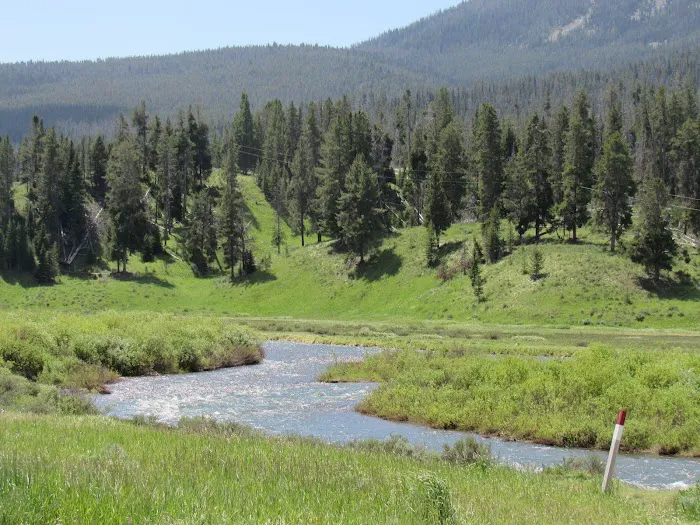 Gallatin River Picture 5