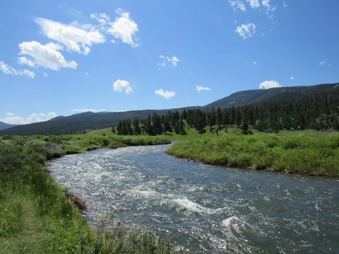 Gallatin River Picture 2