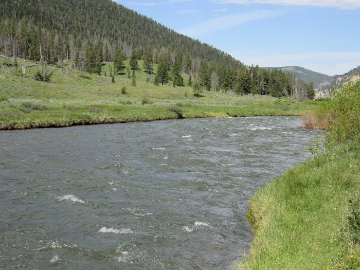 Gallatin River Picture 4