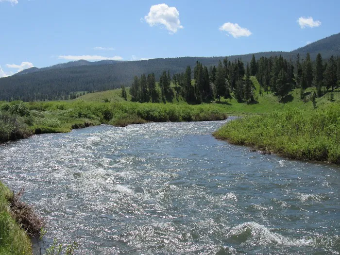 Gallatin River Picture 3