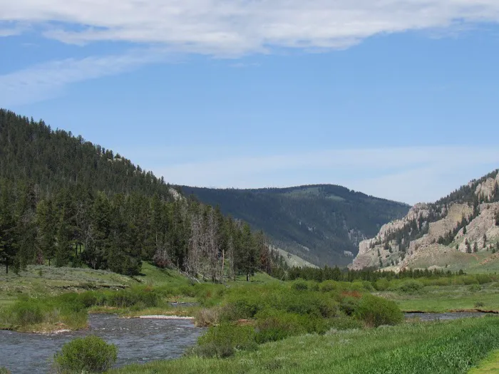 Gallatin River Picture 1