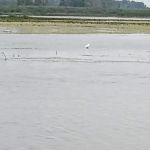 Water Front Saginaw Bay (1) RV Site-All Year-WiFi,30AMP,Water