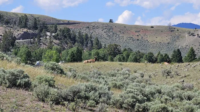 Gardner River Picture 1