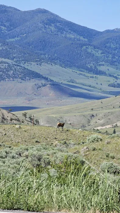 Gardner River Picture 2