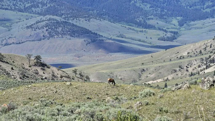 Gardner River Picture 3